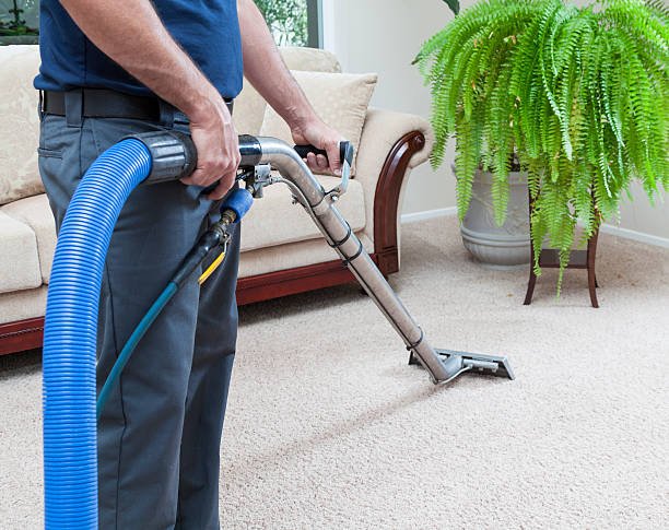 Carpet Cleaning Team